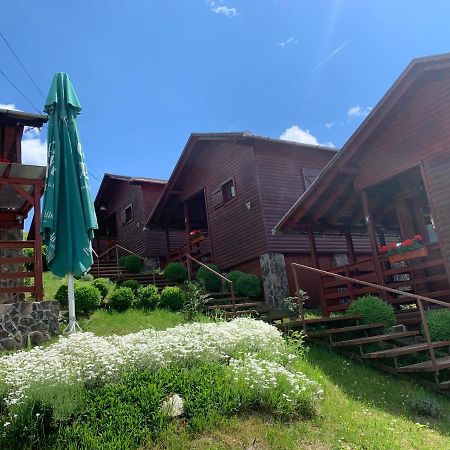 Cristal De Sare Apartment Praid Bagian luar foto